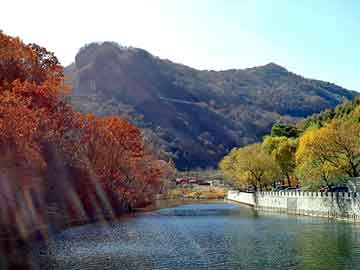 管家婆黑白马报图库，海南黄页